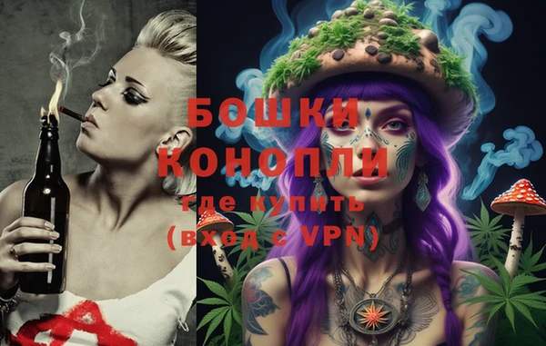 PSILOCYBIN Алексеевка