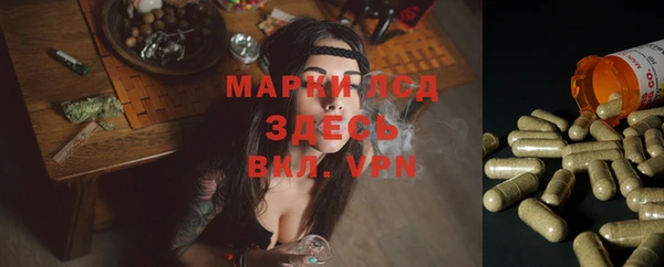 PSILOCYBIN Алексеевка