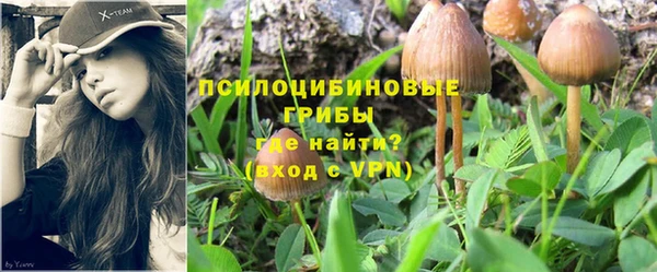 Альфа ПВП Алзамай