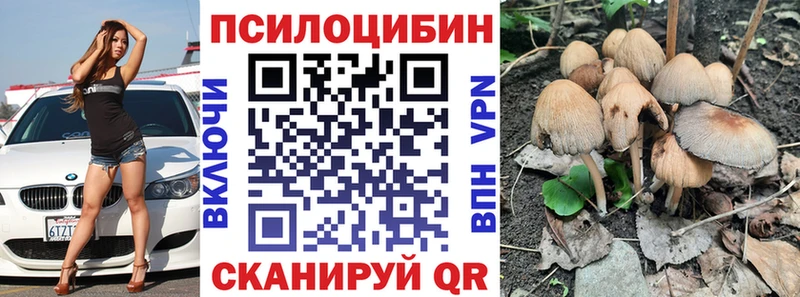 блэк спрут как войти Сосновка Псилоцибиновые грибы прущие грибы где продают наркотики